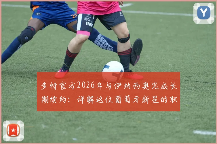 多特官方2026年与伊纳西奥完成长期续约:详解这位葡萄牙新星的职业前景与合同关键信息