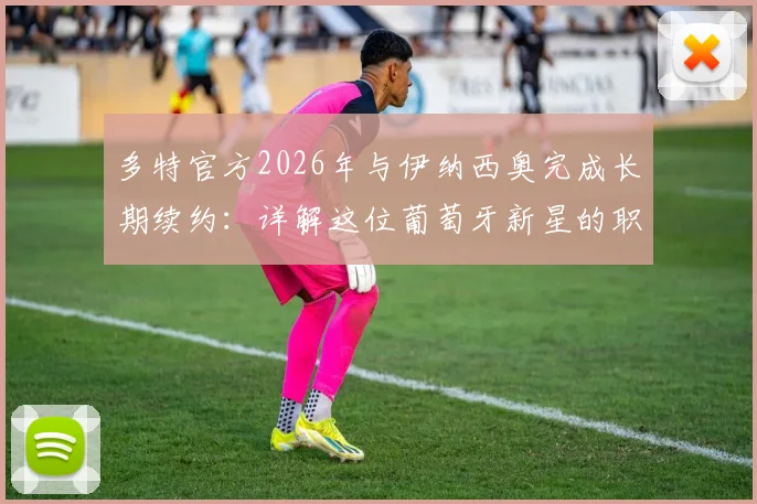 多特官方2026年与伊纳西奥完成长期续约：详解这位葡萄牙新星的职业前景与合同关键信息
